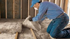 Best Attic Insulation Installation  in Henderson, KY